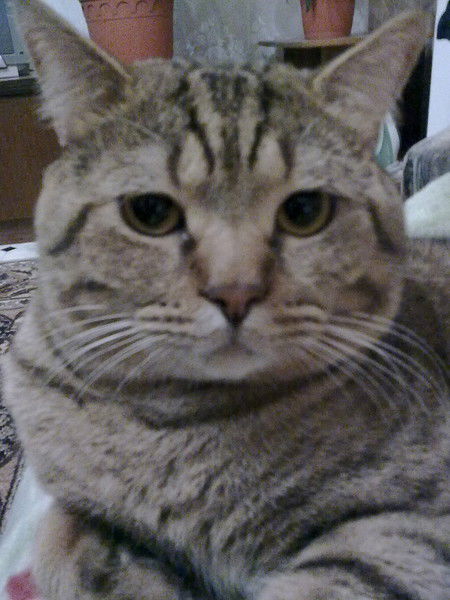 Сергей Пушкарев