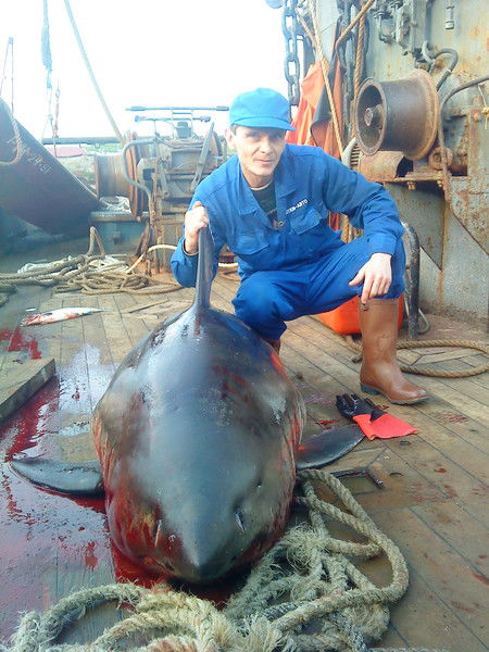 Сергей Огороднов