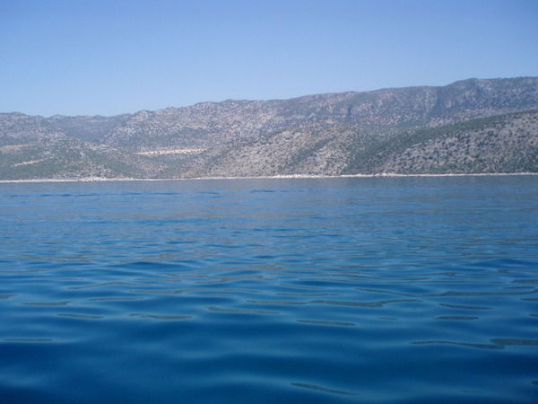 Наталка Касарда