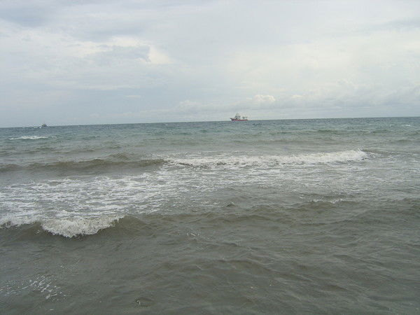 Наталья Самофалова