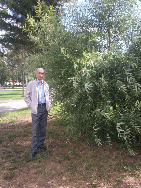 Хамид Сайфуллоев