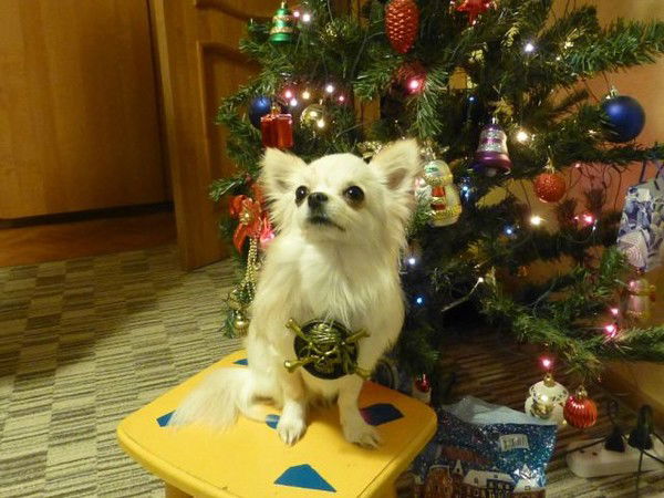 Ирина Ежова