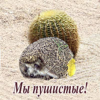 Ирина Артёменко