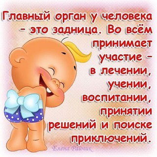 Игорь Хорошавцев Shifu