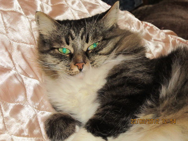 Семён Бобров