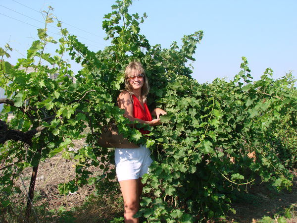 Ольга Маслова