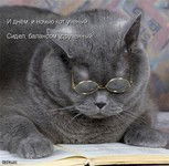 Надежда Кабышева