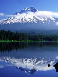 Александр Помазкин