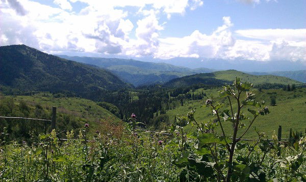 Наталья Адамова