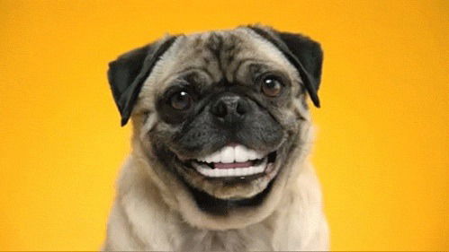 Любовь Аникиенко