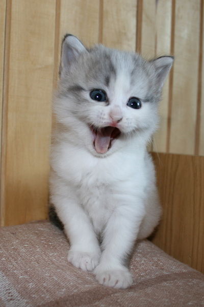 Алексей Астров