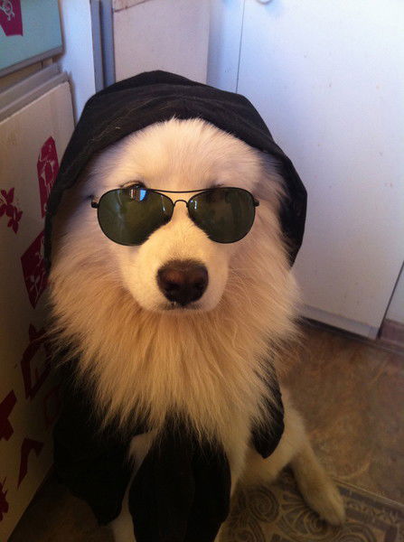 Дмитрий Кругов