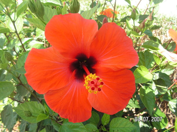 Татьяна Козлова