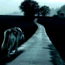 Darhan Hamin