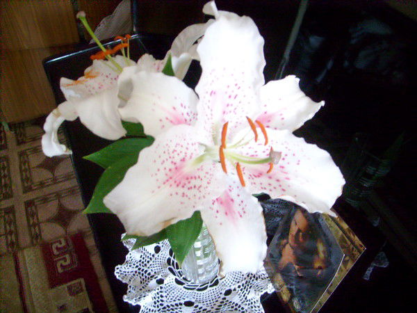 Артур Ильиных