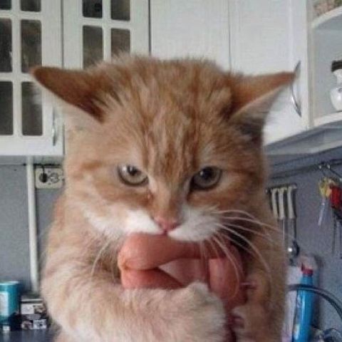 Ольга Гранда