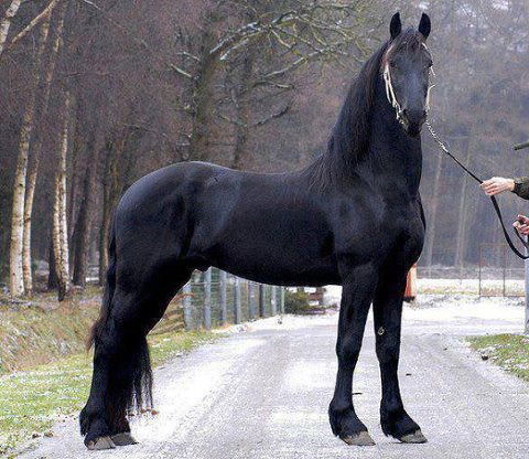 Жумакан Жаркулова