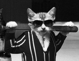 Ернар Кенес