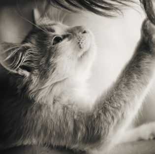 Екатерина Кузьмина