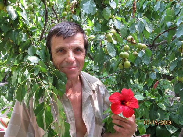 Александр Устименко