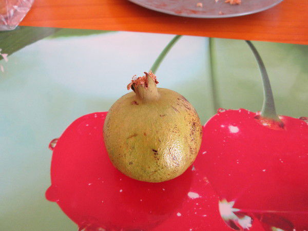 Татьяна Афанаскина