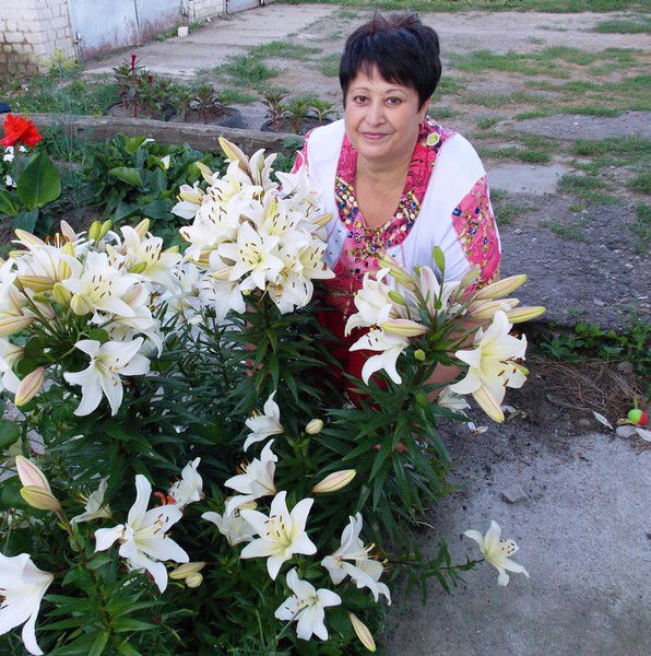 Надежда Юркова