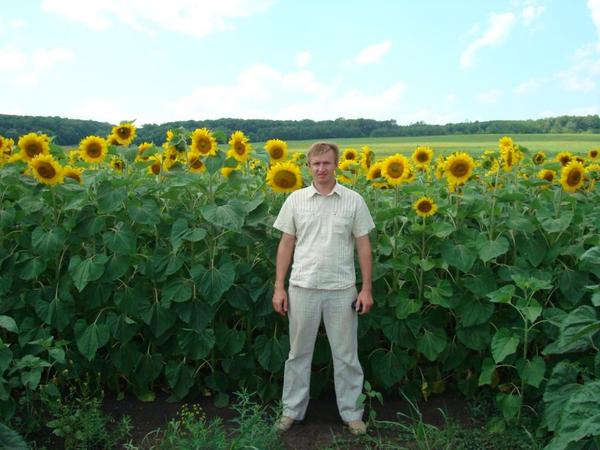 Александр Гребенкин