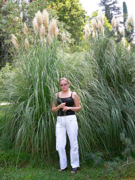 Петрова Ольга