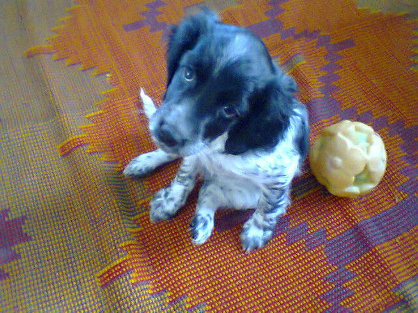 Никита Ткаченко