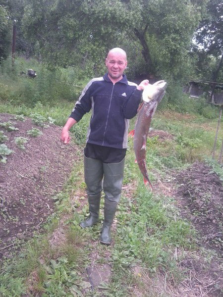 Сергей Головатов