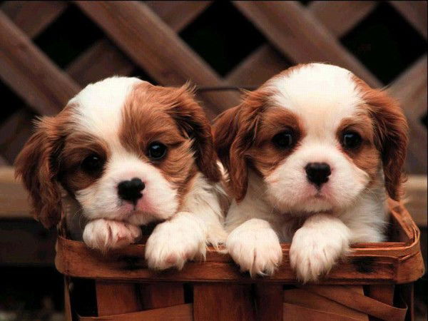 Татьяна Tania