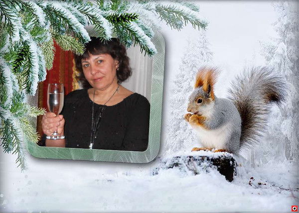 Светлана Гудкова