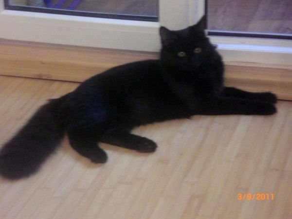 Александра Бирюкова