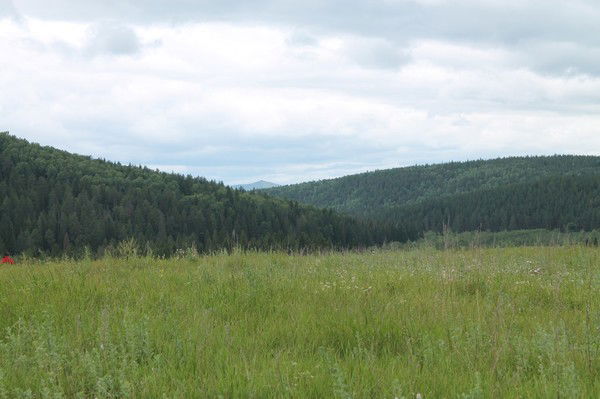 Маргарита Шулакова