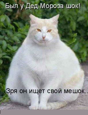 Диана Веселова