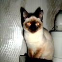 Рамиз Кулиев