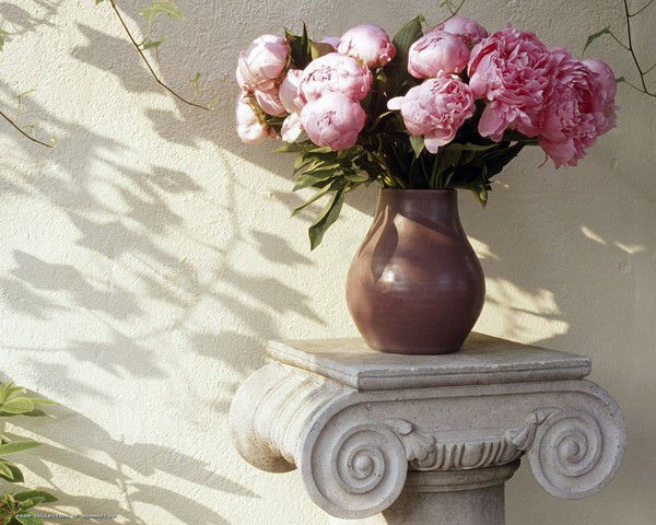 Елена Хузина