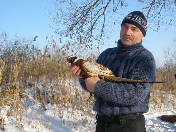 Вован Вованов