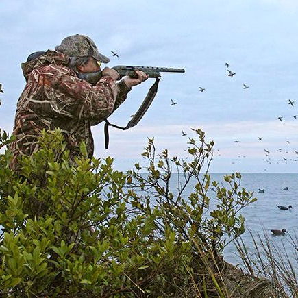 Александр E