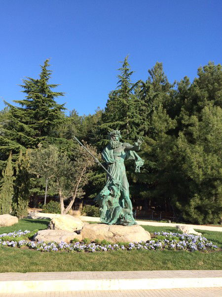 Елена Штабная