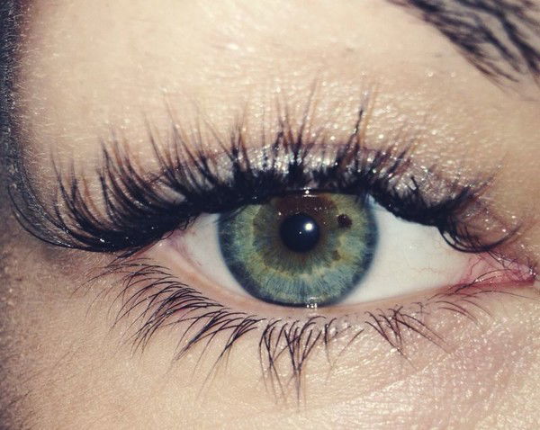 Светлана Орлова