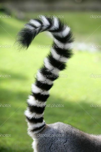 Успешный Иврит