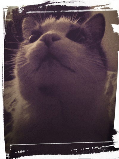 Евгений Ресин