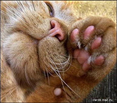 Станислав Наумчук