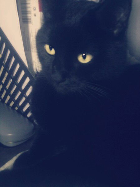 Ольга Смолянинова