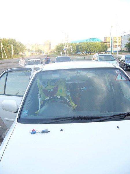 Наталья Князева