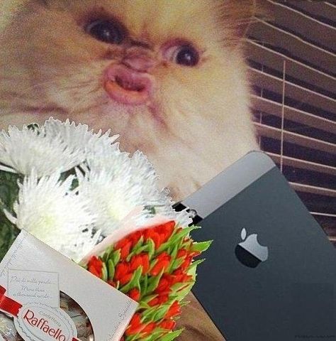 Ольга Тимошкина