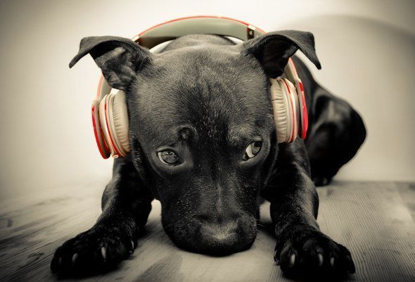 Евгений Красько