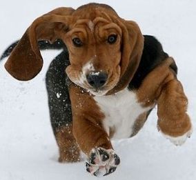 Александр Баурдин