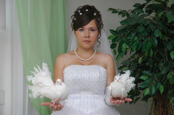 Елена Шарафеева